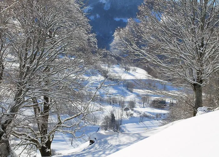 Restaurant Aux Genets D'or Отель